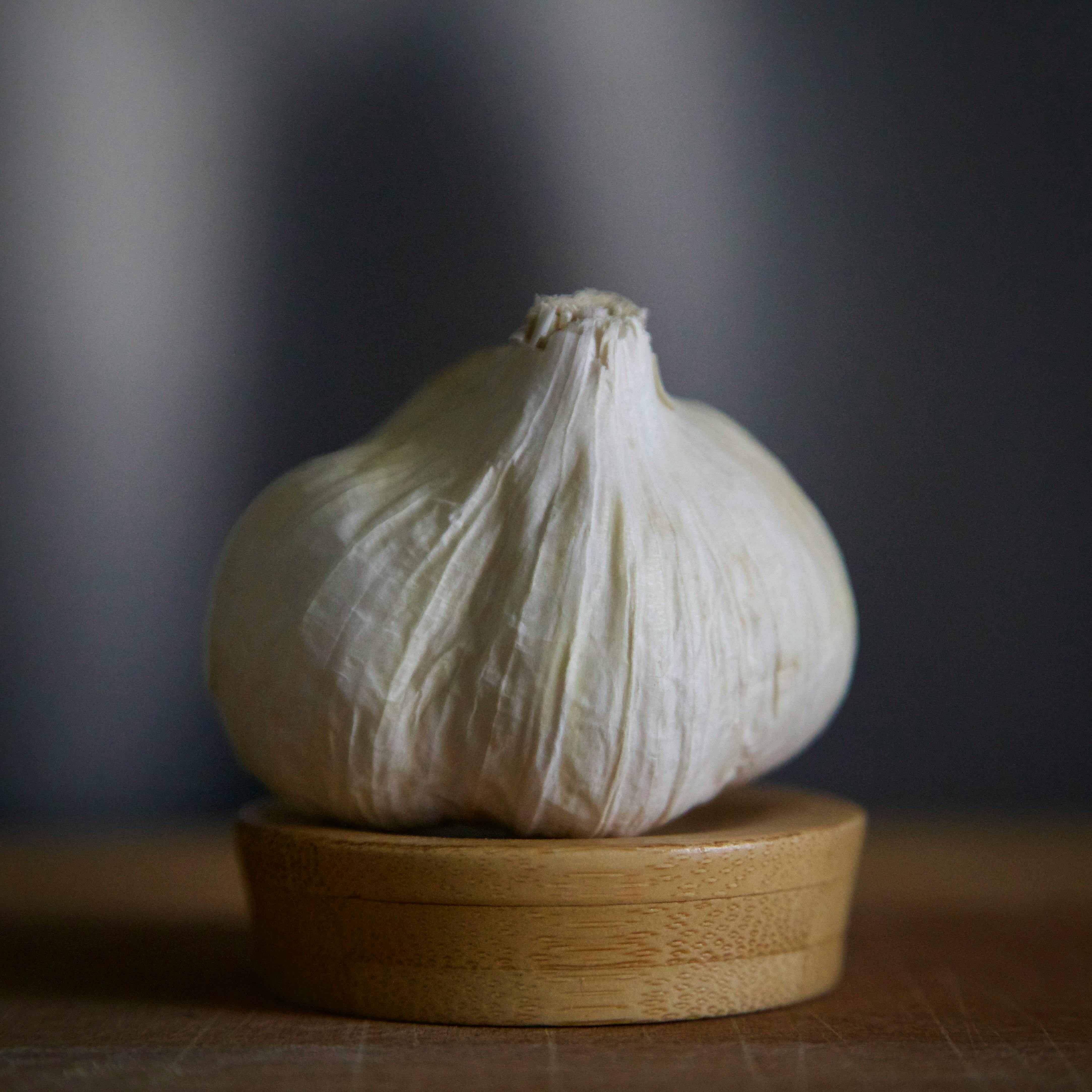 Organic Garlic